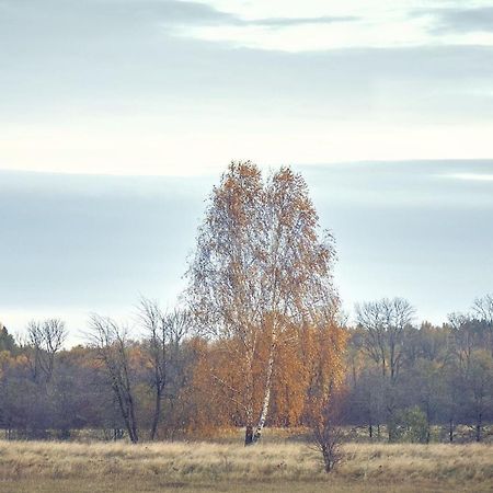 Marchewkowy Villa Siemiany Exteriör bild